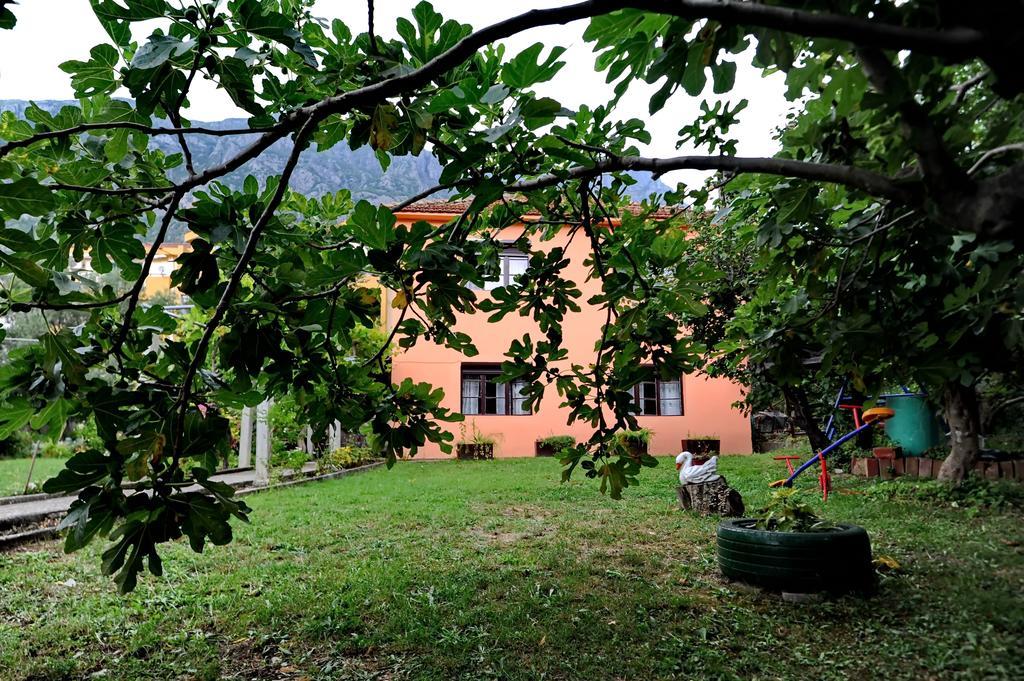 Apartments Vido Kotor Bagian luar foto