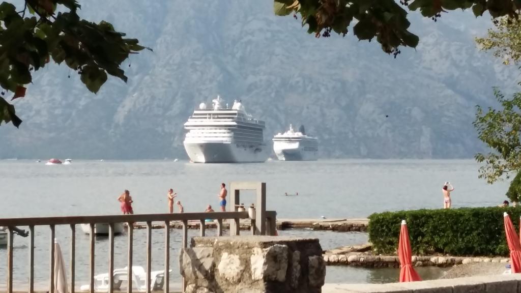 Apartments Vido Kotor Bagian luar foto