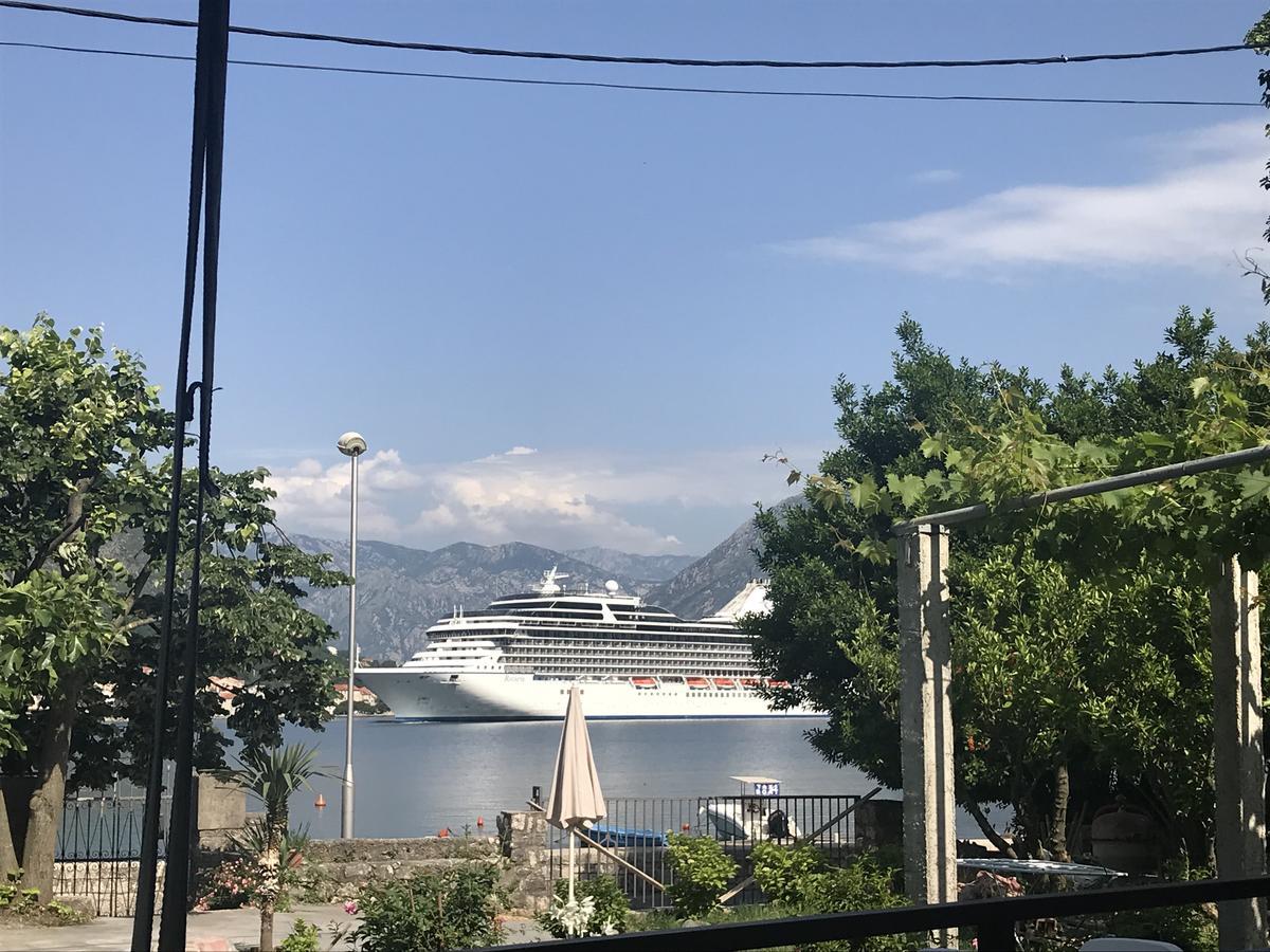 Apartments Vido Kotor Bagian luar foto