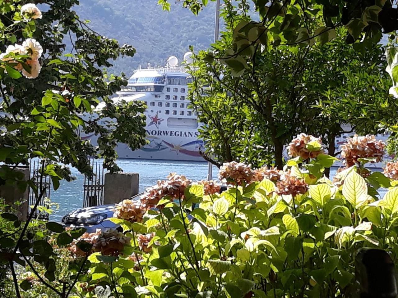 Apartments Vido Kotor Bagian luar foto